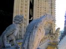 PICTURES/Paris - The Towers of Notre Dame/t_Zoo Gargoyles1.jpg